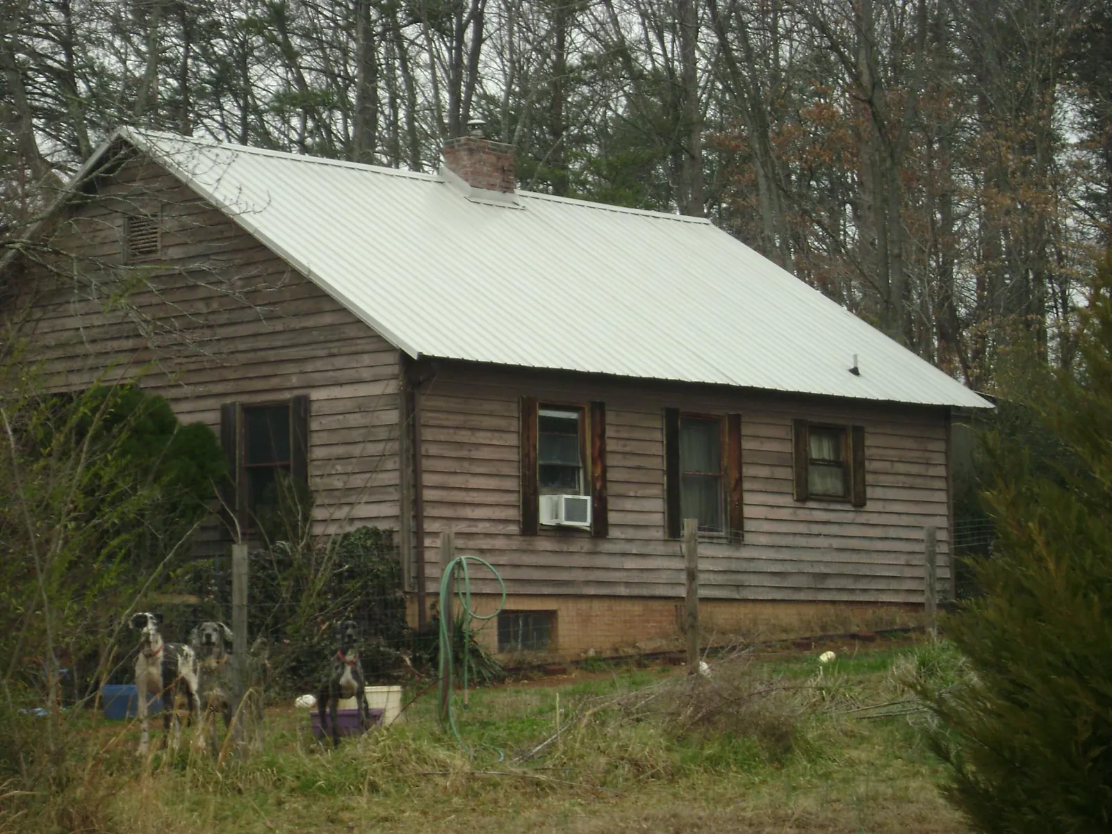 White metal roof on an old wood sided farmhouse, from a Asphalt Shingle Roof Repair job in Estacada